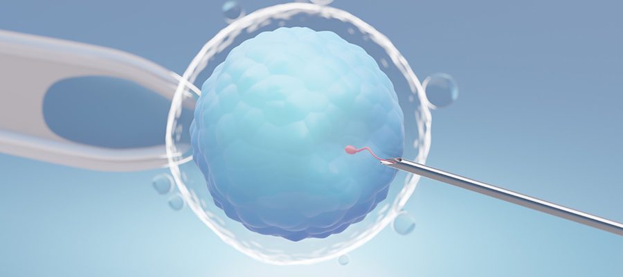 In vitro fertilization ivf